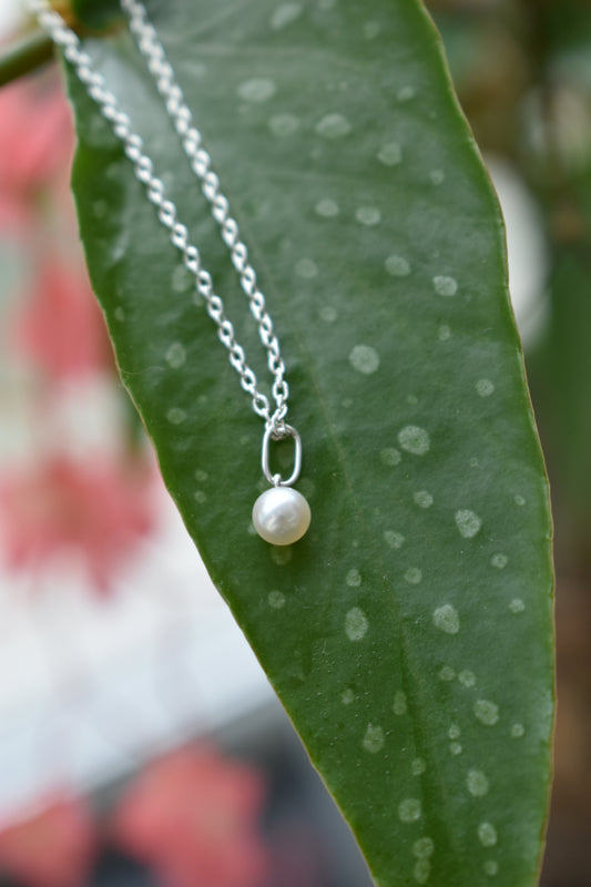 Pendentif Perle D'eau Douce 4,8mm