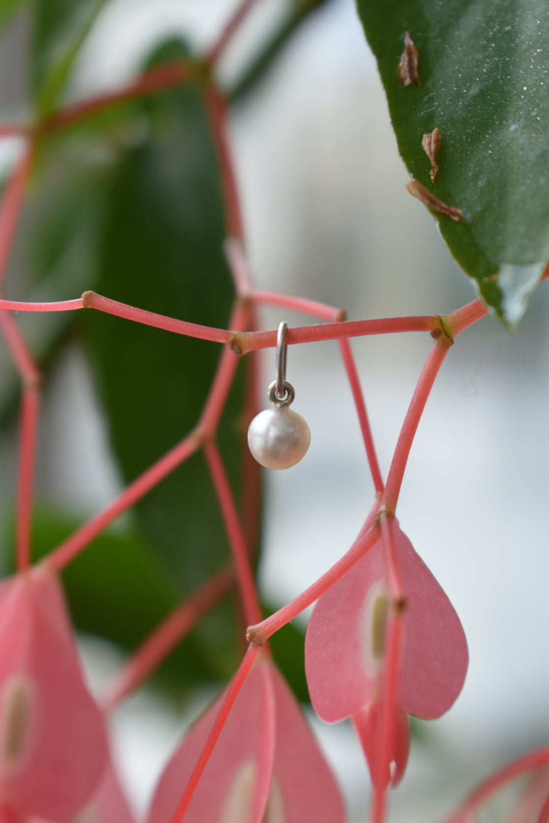 Pendentif Perle D'eau Douce 4,8mm
