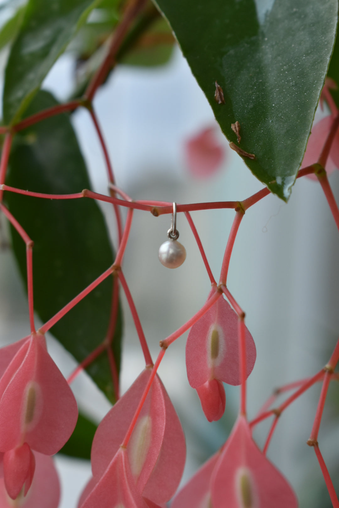 Pendentif Perle D'eau Douce 4,8mm