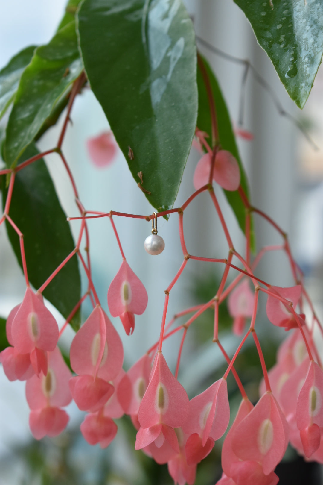 Pendentif Perle d'Akoya 6,4mm
