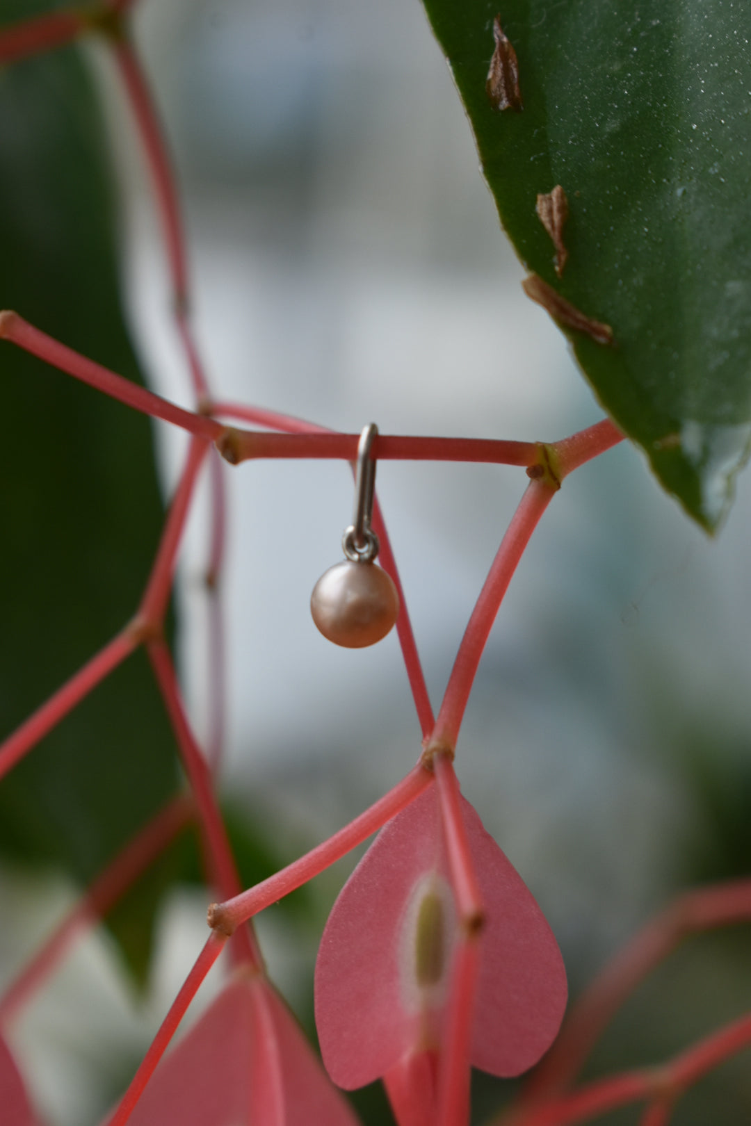 Pendentif Perle D'eau Douce Rose 4,3mm